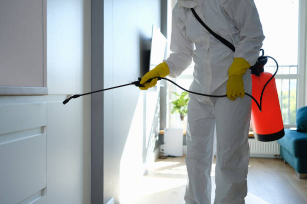 Best Mold Remediation for Specific Building Types in Reliez Valley, CA